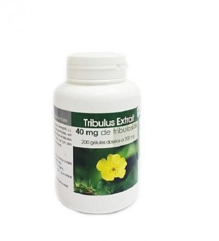 GPH DIFFUSION TRIBULUS EXTRAIT 100 GELULES