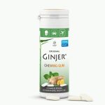 GINJER CHEWING-GUM GINGEMBRE MENTHE 30 G
