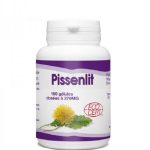 Gph Diffusion Pissenlit 100 Gélules