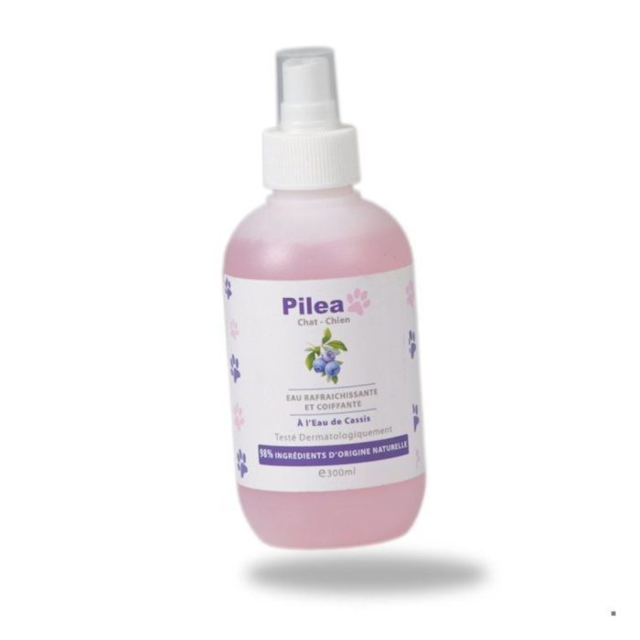 Pilea Eau coiffante & Rafraichissante 300ml – Image 1