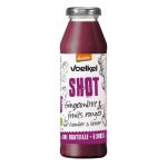 VOELKEL SHOT GINGEMBRE FRUITS ROUGE 280ML