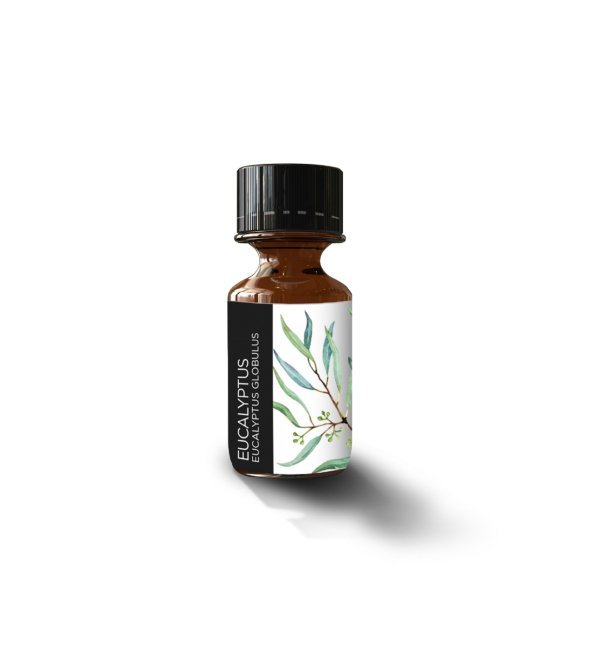 Arganell-Huile-essentielle-eucalyptus-globulus-10ml Arganell Huile Essentielle Eucalyptus 10ml – Image 1
