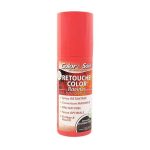 Color et Soin spray Retouche color Chatain Fonce 75ml