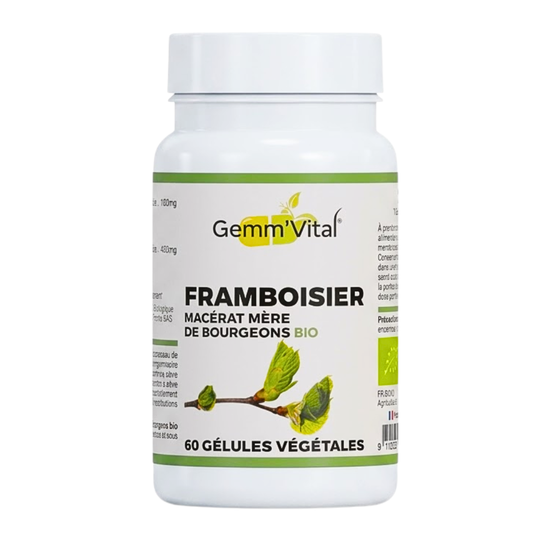 GemmVital-Bourgeon-De-Framboise-60gelules Gemm'Vital Bourgeon De Framboise 60 Gelules – Image 1