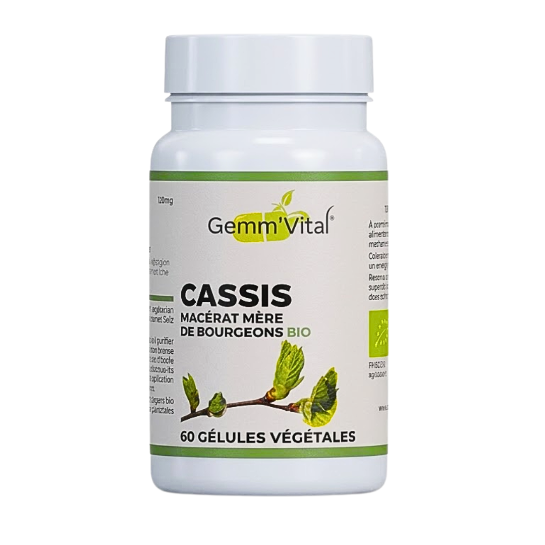 GemmVital-Bourgeon-de-Casis-60-gelules Gemm'Vital Bourgeon De Casis 60 Gelules – Image 1